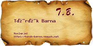 Török Barna névjegykártya